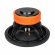 DL Audio Raven 12 V.2