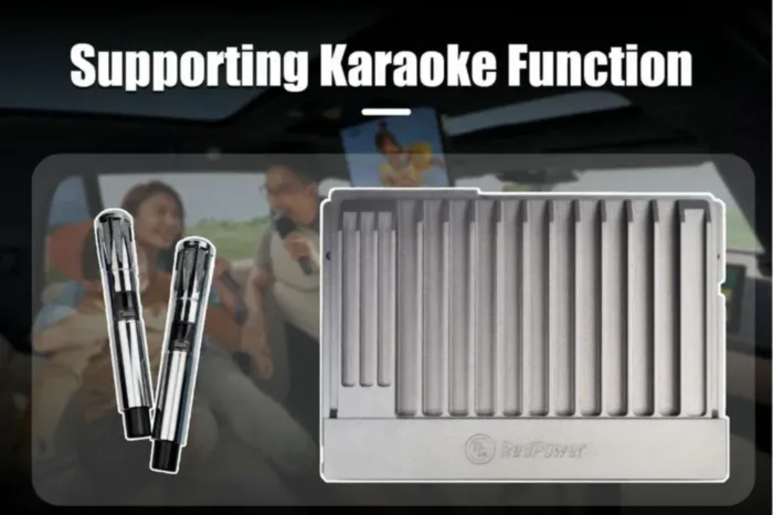 RedPower KIA/ HYUNDAI 12CH