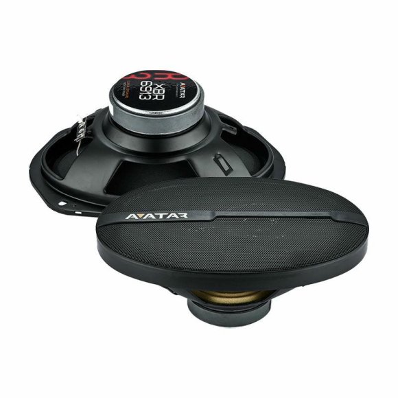 Avatar XBR-6913U