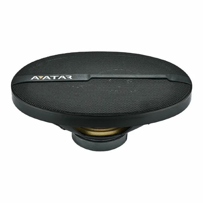Avatar XBR-6913U