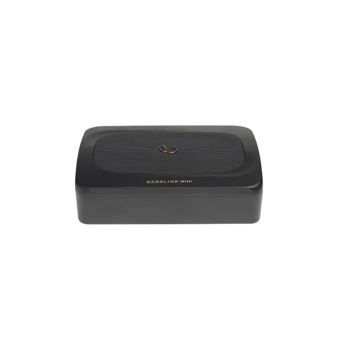 INFINITY BASSLINK MINI
