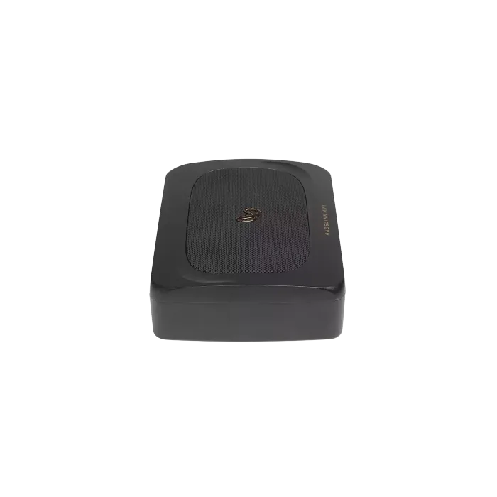 INFINITY BASSLINK MINI