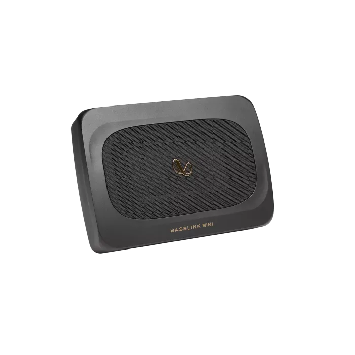 INFINITY BASSLINK MINI