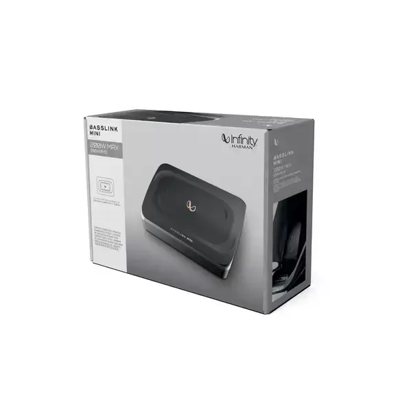 INFINITY BASSLINK MINI