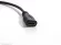 AVEL AVS117BE + Xiaomi Mi TV Stick + AV1252DC