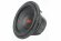 ACV SWF PRO124D