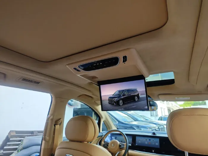 ERGO ER15VH для VOYAH DREAM