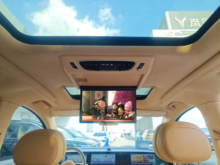 ERGO ER15VH для VOYAH DREAM