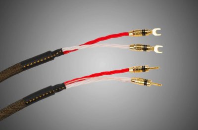 Tchernov Cable Reference DSC SC Sp/Bn (1.65 m)