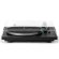 Premiera DELTA Black