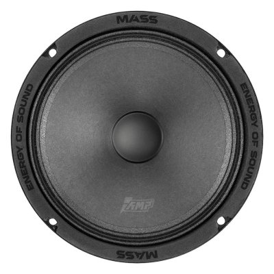 AMP MASS FR65P120 (4ом)