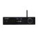Premiera Mini Amp Black