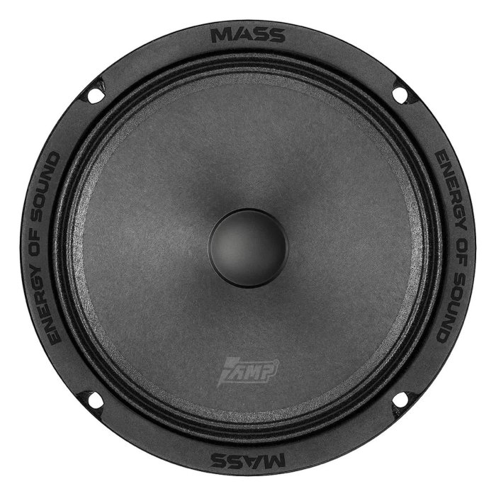 AMP MASS FR65P100 (4ом)