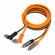 DL Audio Raven RCA 2M