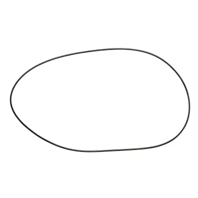 EAT Drive belt Fortissimo S - Forte S