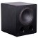 Tone Winner SW-D1000