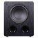 Tone Winner SW-D1000