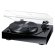 Magnat MTT 990 Black