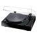 Magnat MTT 990 Black