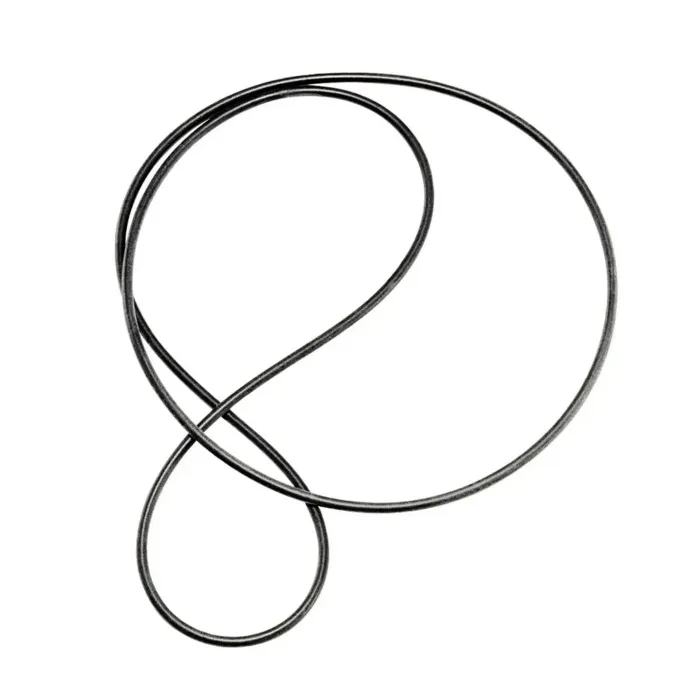 EAT Drive belt Fortissimo - Forte