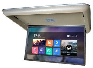 Потолочный Смарт ТВ 24" ERGO ER24AT beige